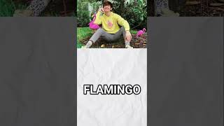 NETWORTH of famous ROBLOX youtubers 🤯 #flamingo #roblox #robloxgames #robloxshorts #robloxtrend