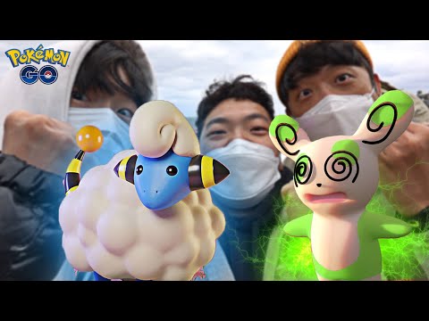 메리프 향로데이! 이로치가 계속나온다~
