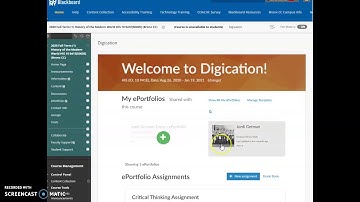 Creating an ePortfolio in Blackboard