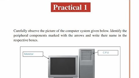 Nios 10th Class Solved Data Entry 229 | Practical English Solution 2023 | #niospractical #nios2023