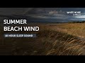 Stormy Summer Beach Wind and Waves - 10 Hours Sleep Sound - Black Screen