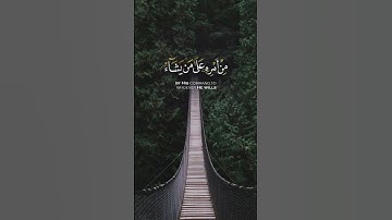 #سورة_النحل #ناصر_القطامي #ناصر_القطامى #ناصر_القطامی #القارئ_ناصر_القطامي#النحل #الشيخ_ناصر_القطامي