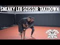 Leg Scissors Takedown Using Arm - Professor Steven Williams