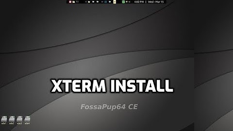 xterm setup: in puppylinux, F96-CE4