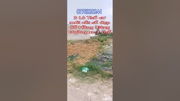 3 lô thổ cư shr mới cắt sổ đường lớn tân kim cần giuộc|bds cần giuộc long an #Shorts