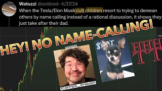 Longtime Tesla Hater Lectures Tesla 'Cult Children' to Be Nicer