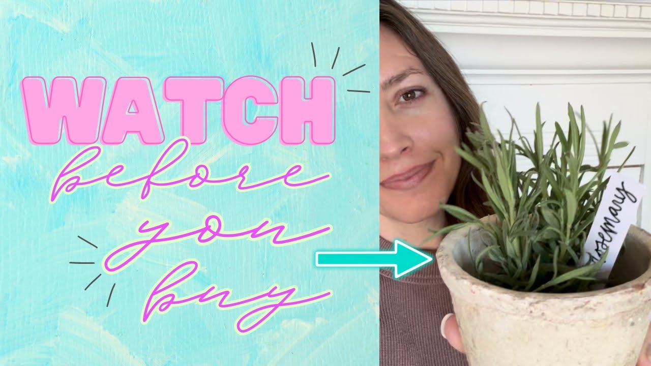 Dalzom 4" Waterproof Plant Labels Review | Garden Tags Test