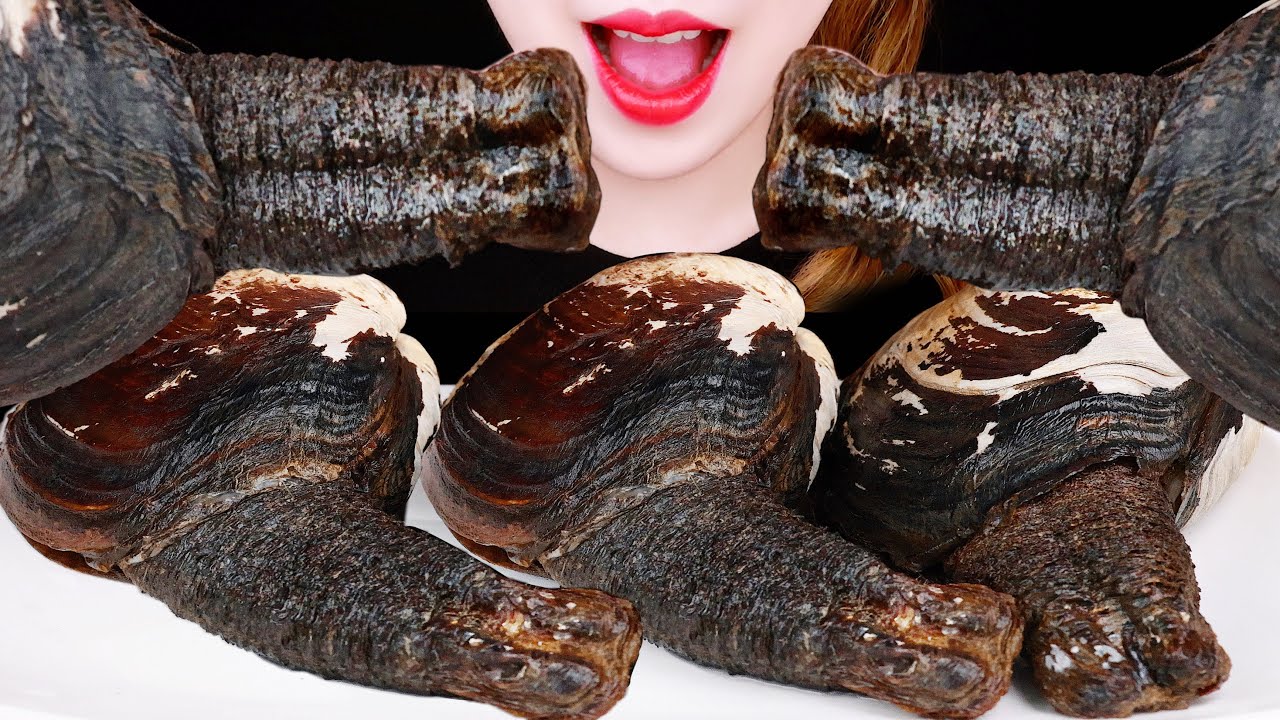 ASMR GIANT GEODUCK EATING SOUNDS MUKBANG SEAFOOD
