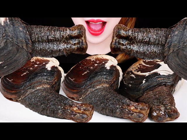 ASMR GIANT GEODUCK EATING SOUNDS MUKBANG SEAFOOD