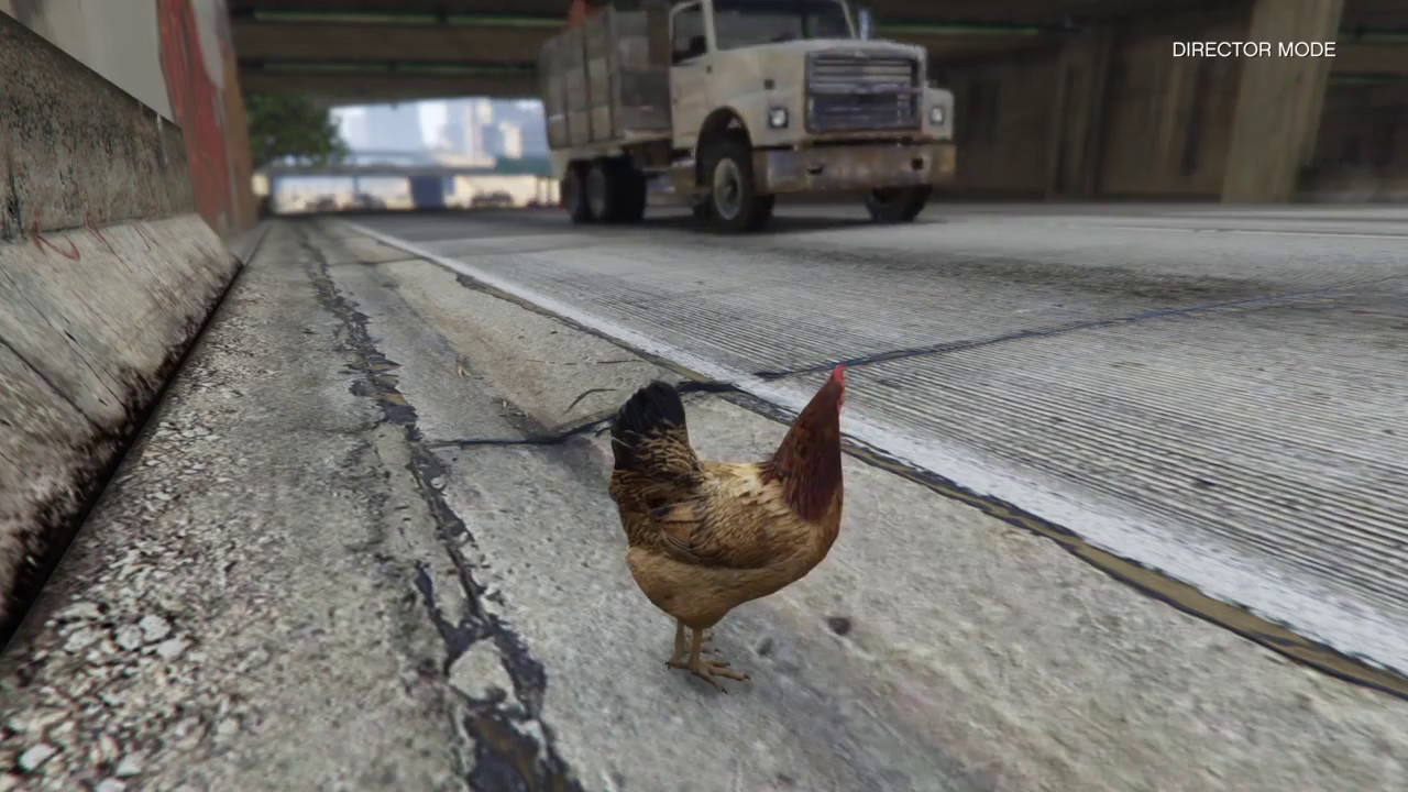 Grand Theft Auto V Chicken Crossing! YouTube