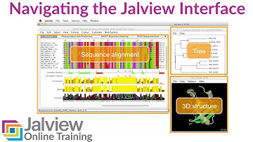 Navigating the Jalview desktop