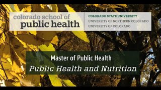 Public health nutrition dissertation ideas