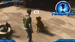 Control Resonant - All Dog & Toy Locations - Every Dog Has Her Day Quest (Dog's Best Friend Trophy)