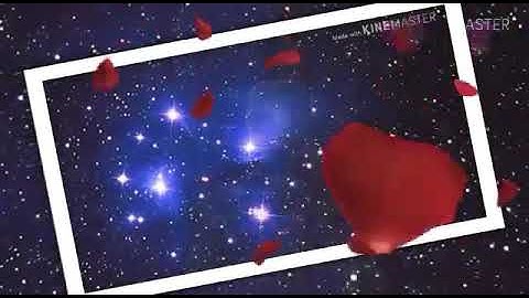 مشاركة طيبة من الأحبة ||للقارئ ليث العبيدي|| 🌺