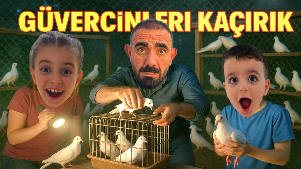 POYRAZ ELİF KUZENLERİN GÜVERCİNLERİNİ KAÇIRDI!!