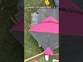 Ranjeet🪁DL😲#kite #shorts #trending #viralvideo #shortsfeed #shortsvideo #kiteflying #patang #kites
