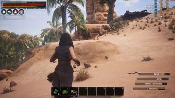 Conan Exiles Stutter 60fps for Nvidia suppport 3070