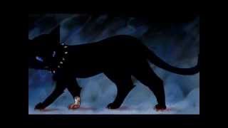 Warriors: Scourge Tribute [2] - Haunted