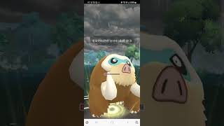 [포켓몬고(pokemongo battle pvp)] [포켓몬고의 꽃]배틀은 이렇게 하면 됩니다