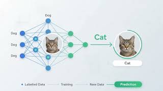 Supervised vs unsupervised learning #machinelearning 