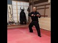 Bo jutsu    bujinkan tenryu dojo