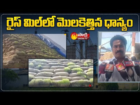 రైస్ మిల్లులో మొలకెత్తిన ధాన్యం | Sprouted Grain In Munagala Balaji Rice Mill | Sakshi TV - SAKSHITV