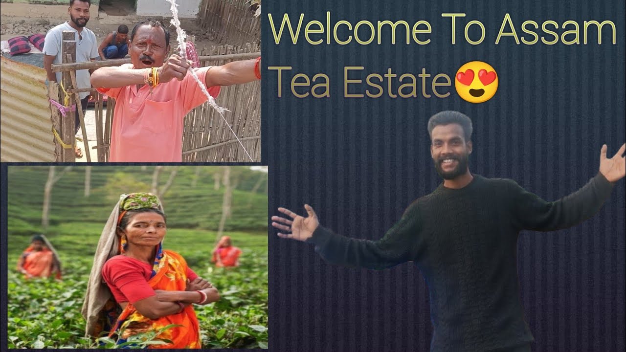 Welcome To Assam Tea Estate...😍