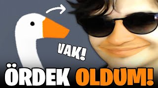 BU ÖRDEK AYNI BEN