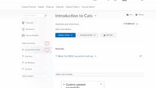 Talon Course Content and Modules for Instructors