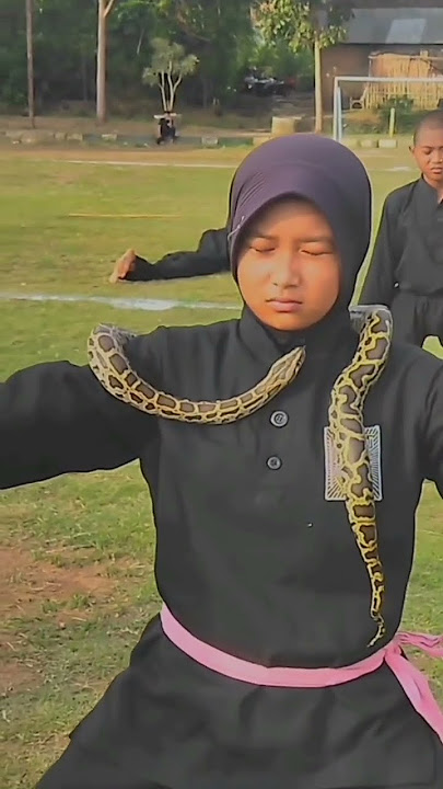Ada Lawan #shots #psht #srikandipshtgalak #pshtjaya #pencaksilat #viralshorts