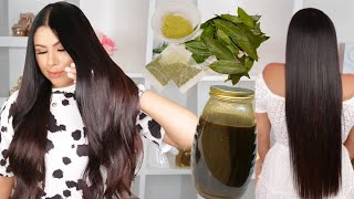 TRATAMIENTO CASERO PARA EL CRECIMIENTO EXTREMO DEL CABELLO