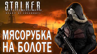 видео: МЯСОРУБКА НА БОЛОТЕ! / ПРОХОЖДЕНИЕ S.T.A.L.K.E.R. 2 картинка: МЯСОРУБКА НА БОЛОТЕ! / ПРОХОЖДЕНИЕ S.T.A.L.K.E.R. 2