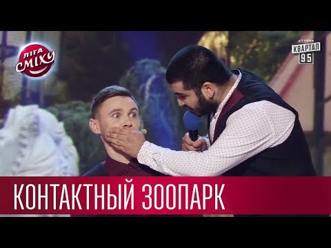 Бот голосом чат обезьяна с Учим английский