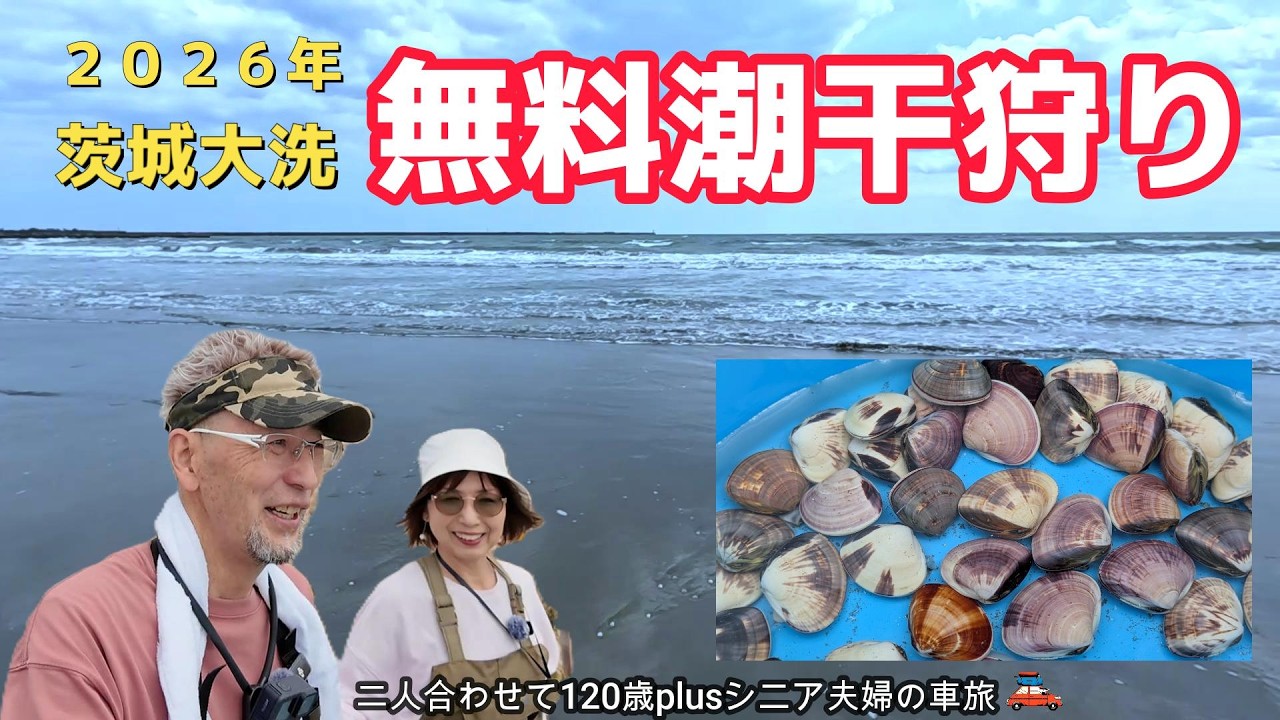 茨城大洗】シーズン到来!無料で潮干狩り❣️驚きのほぼカニの絶品 