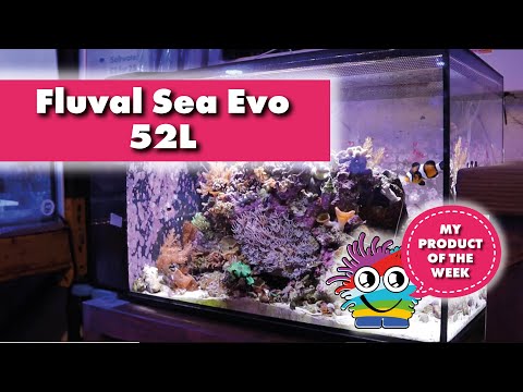 Product of the week. All you need to know about Fluval Evo 52L Aquarium