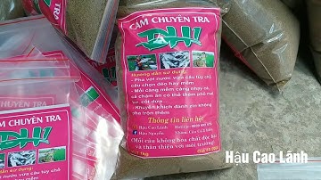 Mồi Câu Cá Tra| Thích hợp câu sông, hồ " Cám ĐH1 " - Hậu Cao Lãnh