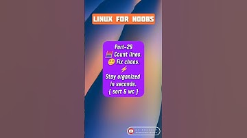 🧮 Organize & Count Text Output 🗂️ | Linux for Noobs Pt. 29