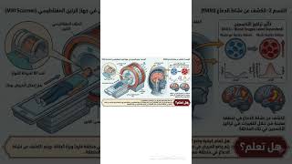 كيفية عمل التصوير الرنينيّ المغناطيسيّ (fMRI).