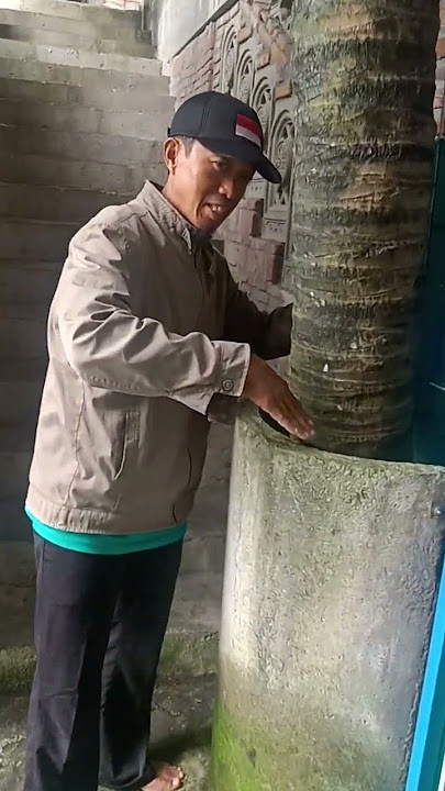 pohon kelapa d tengah bangunan masjid tiban d Turen Malang.