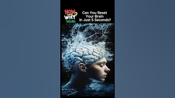 The 5-Second Brain Reset That Actually Works?