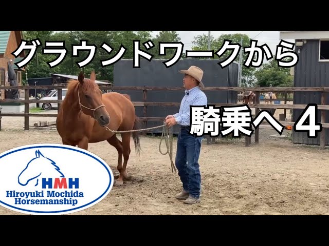 From Groundwork to Riding 4 - YouTube