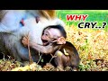 WHY CRY...?? LOOK AND LISTEN REAL REASON BABY DITO CRY SEIZURE NEAR MILK LOOK SO PITY.