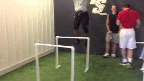 PSTS: Reactive Hurdle Jumps
