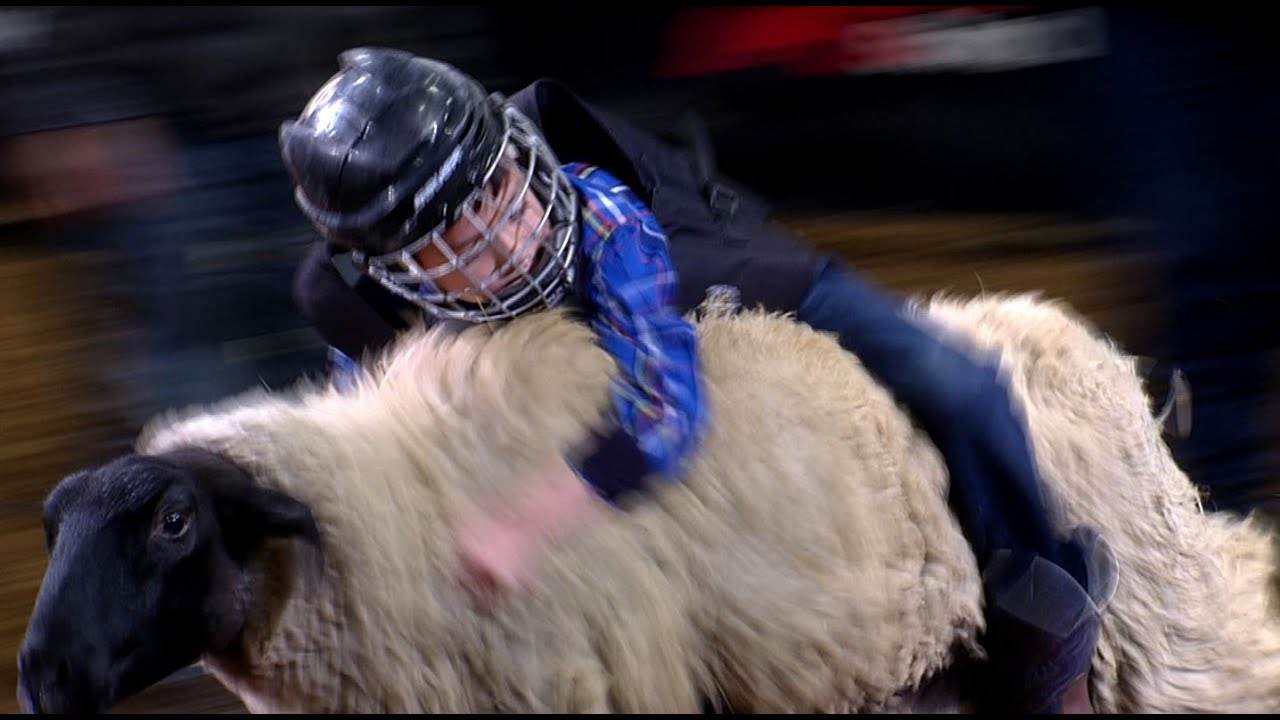 Mutton Bustin' Highlights | San Antonio Rodeo | Feb. 25, 2022