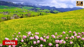 Spring in Appenzell Switzerland 🇨🇭 Fairytale Place with Hamlets and Hills | #swiss