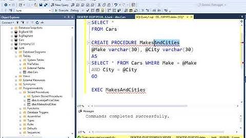 Store Procedures Multiple Parameters