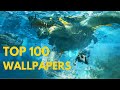 Top 100 live wallpapers for wallpaper engine 2022
