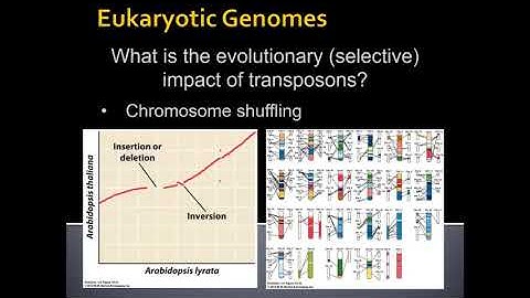 Unit 3.1.4 Eukaryotic Genomes