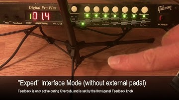 The "Expert" Interface Mode on the Echoplex Digital Pro