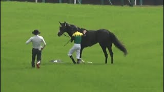 【タイトルホルダー 競走中止】4コーナー失速〜下馬〜馬運車までの一部始終 現地映像【2023 天皇賞春】